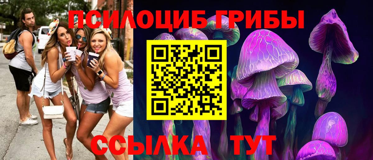 Псилоцибиновые грибы Psilocybine cubensis Мурманск